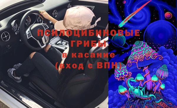 прущие грибы Абинск