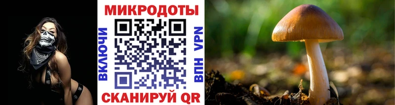kraken маркетплейс  Игарка  Галлюциногенные грибы мухоморы 